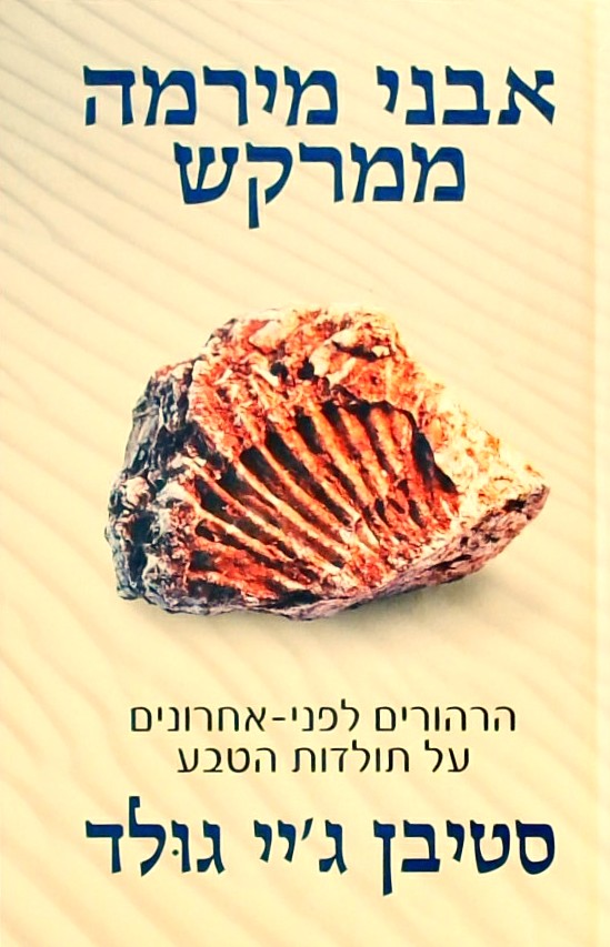 אבני מירמה ממרקש (כריכה קשה)