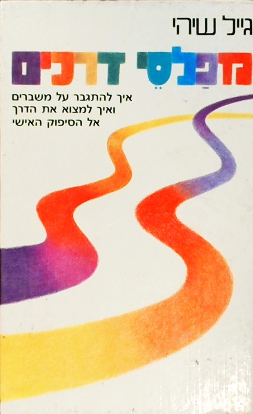 מפלסי דרכים