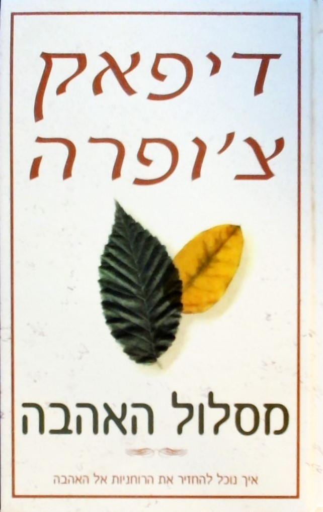 חדשים מהבוידעם