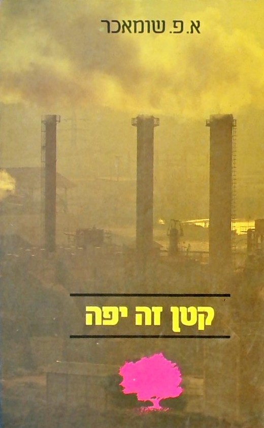 קטן זה יפה-מחקר כלכלי על ההנחה שלבני אדם יש חשיבות