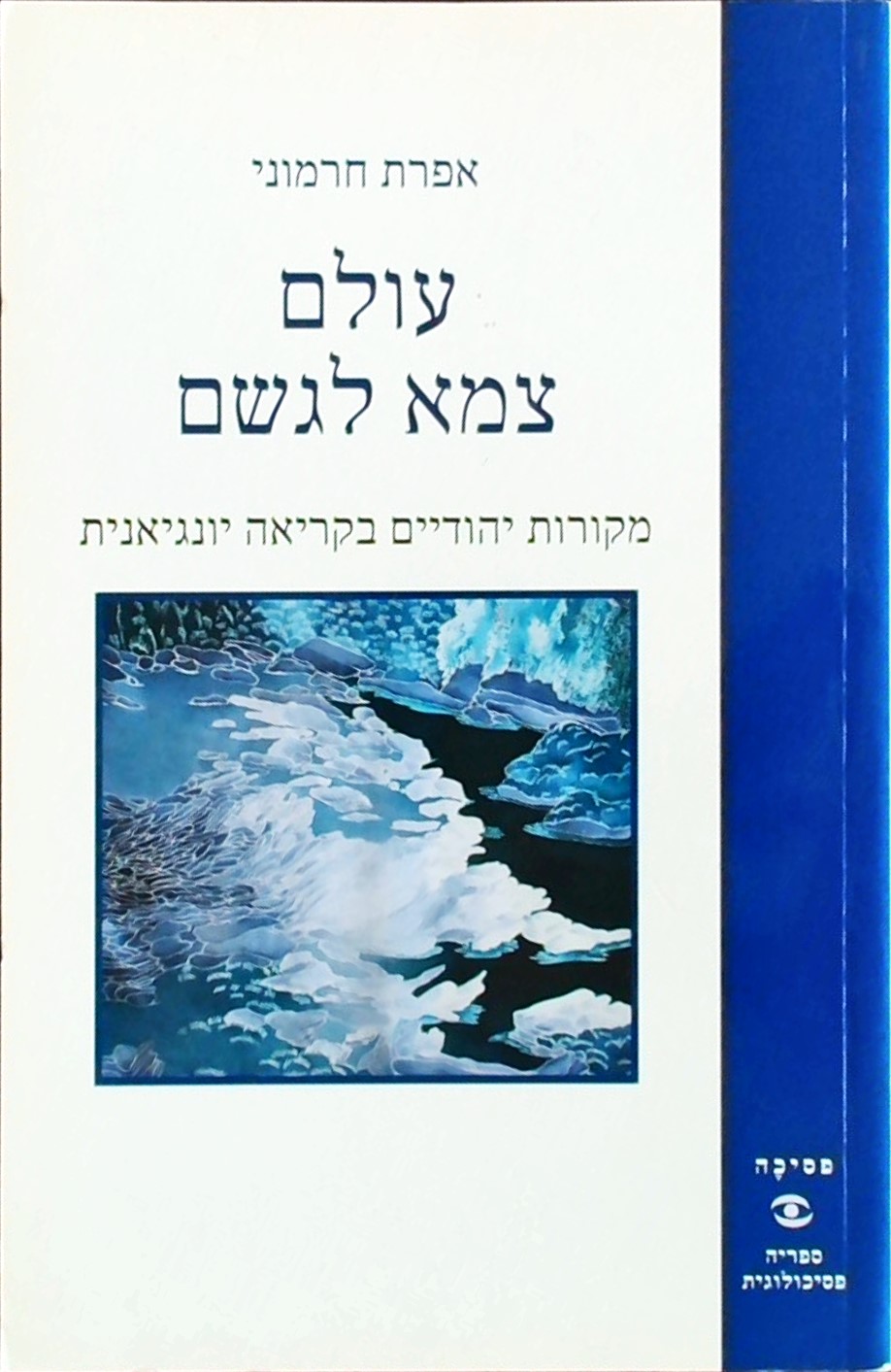 עולם צמא לגשם - מקורות יהודיים בקריאה יונגיאנית