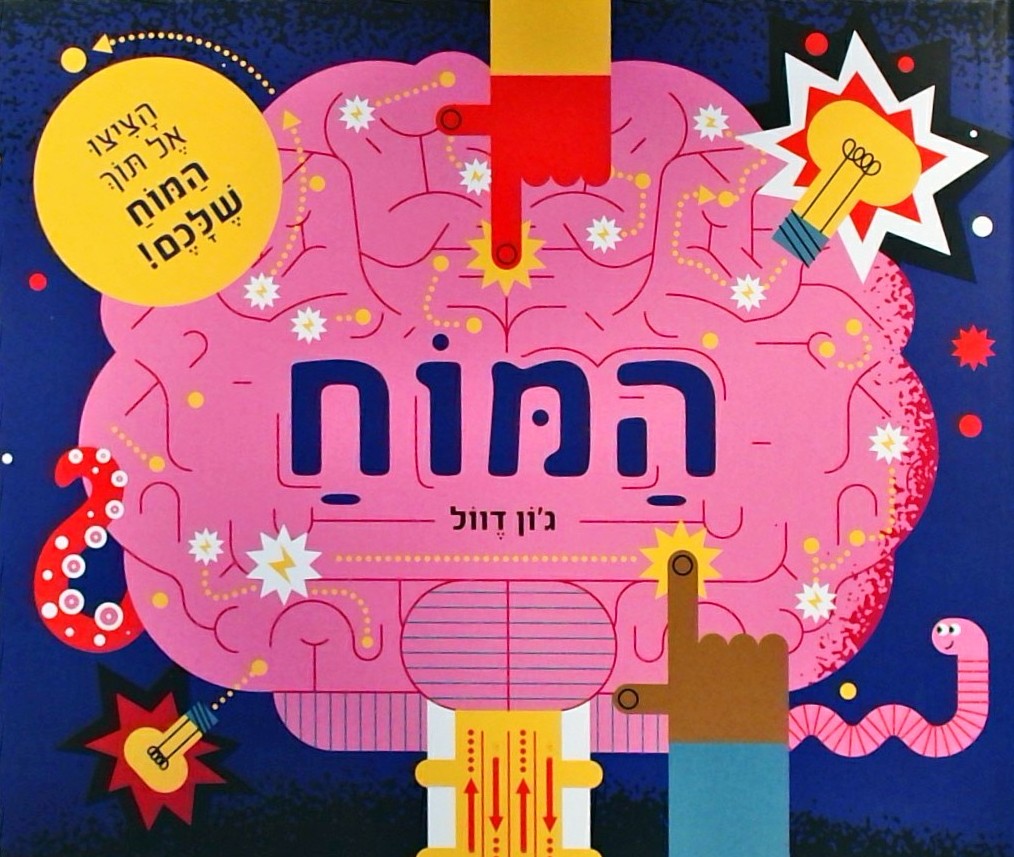 המוח - הציצו אל תוך המוח שלכם