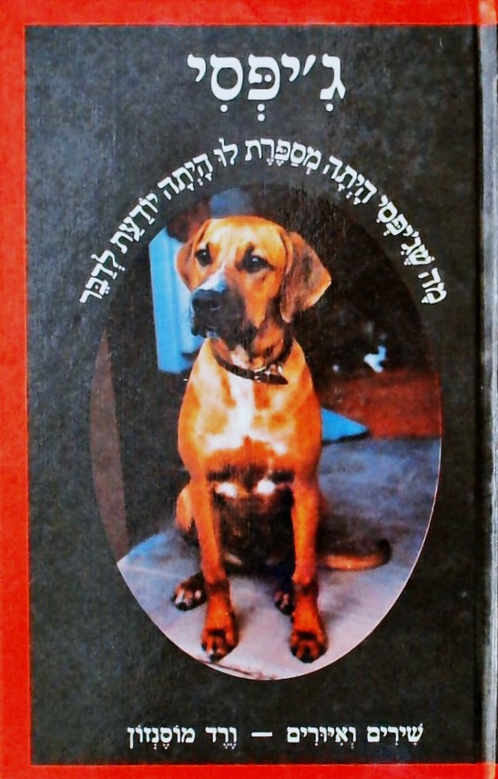 ג