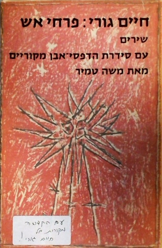 חדשים מהבוידעם