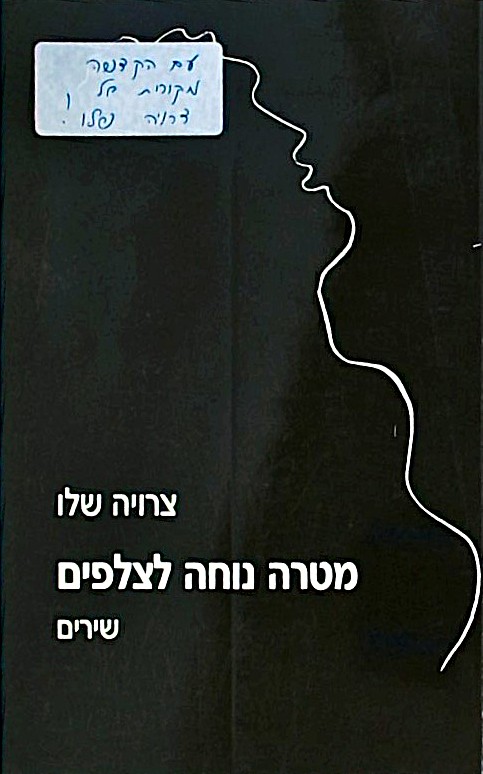 מטרה נוחה לצלפים