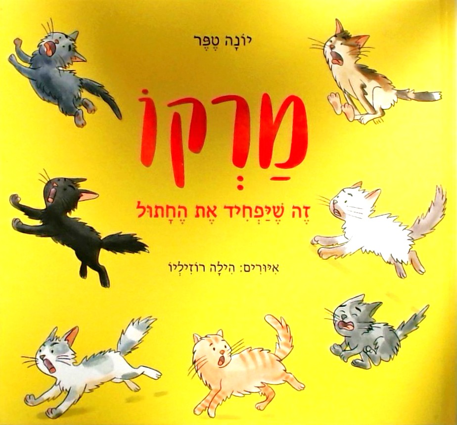 מרקו זה שיפחיד את החתול