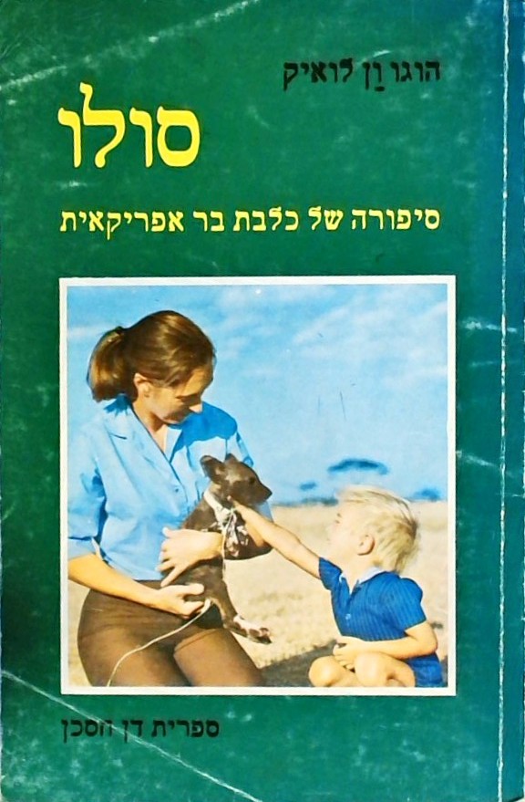 סולו סיפורה של כלבת בר אפריקאית