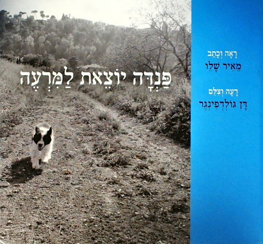 פנדה יוצאת למרעה