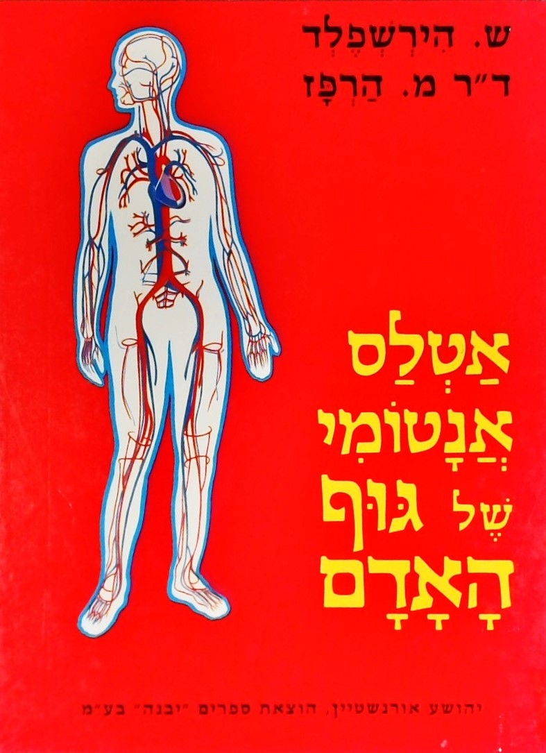 אטלס אנטומי של גוף האדם