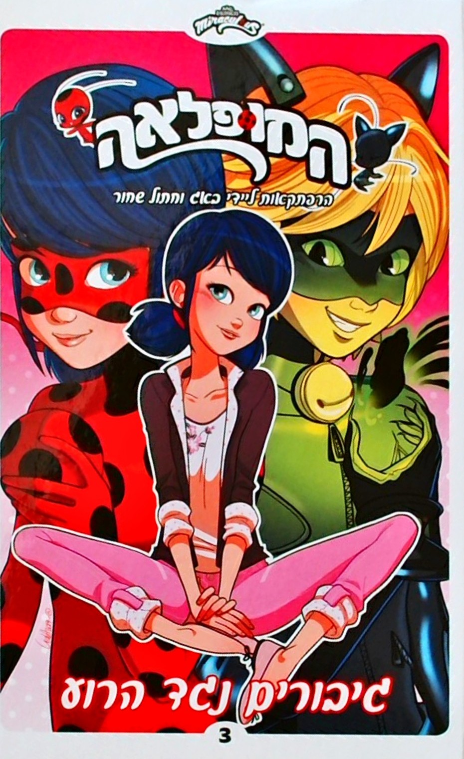 המופלאה 3 -הרפתקאות ליידי באג וחתול שחור- גיבורים 