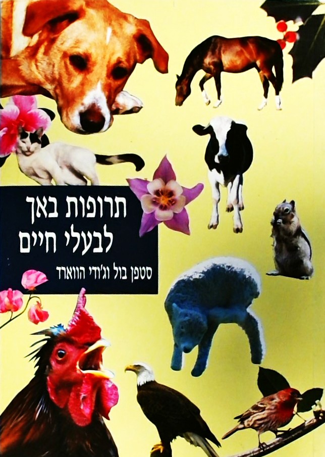חדשים מהבוידעם