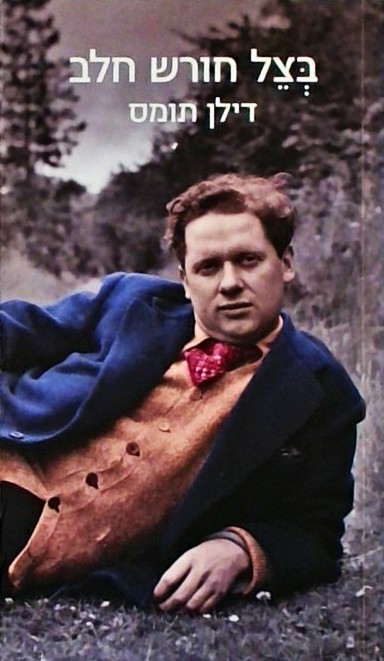 בצל חורש חלב -משחק לקולות (ספר כיס)