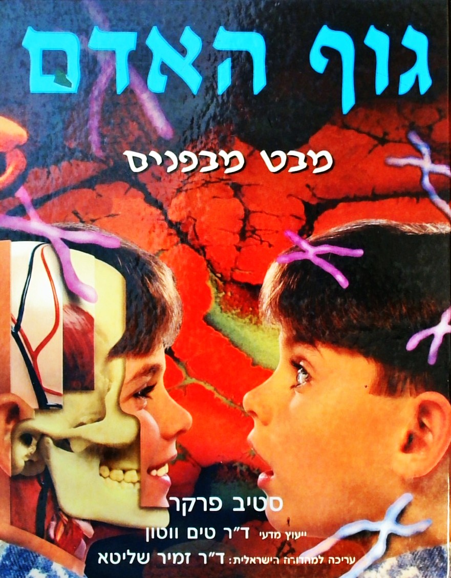 גוף האדם-   מבט מבפנים