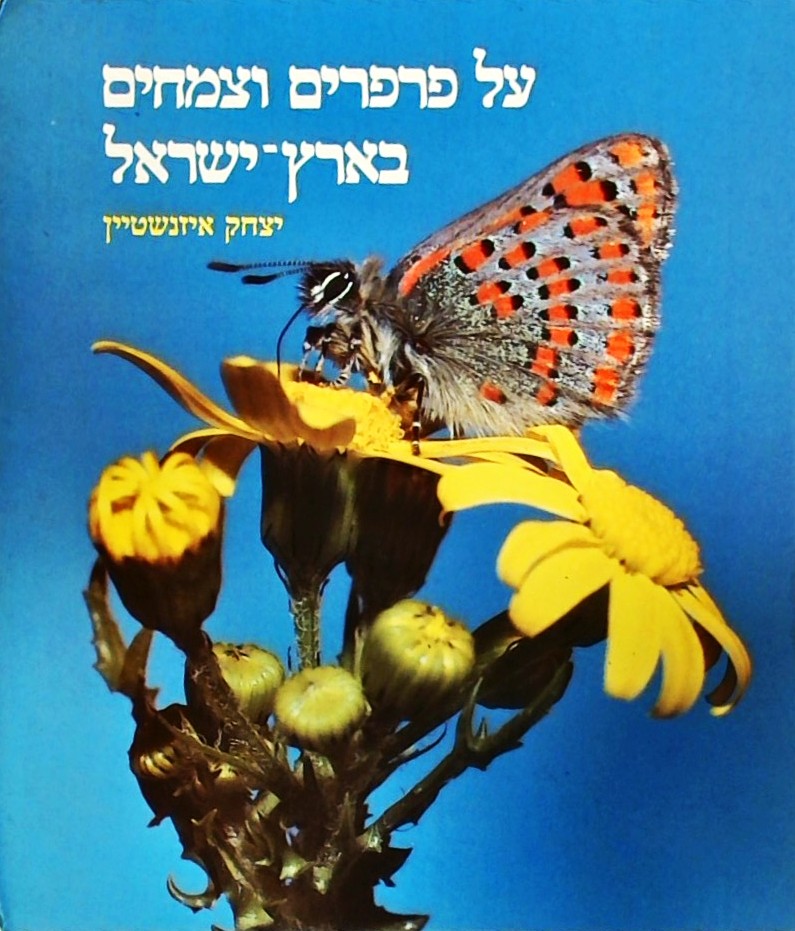על פרפרים וצמחים