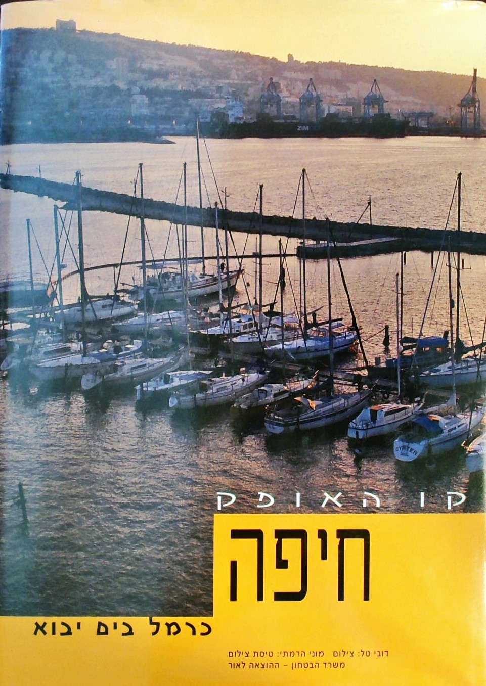 קו האופק - חיפה - כרמל בים יבוא