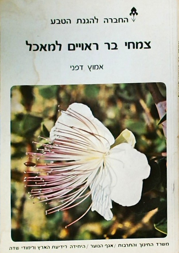 צמחי בר ראויים למאכל