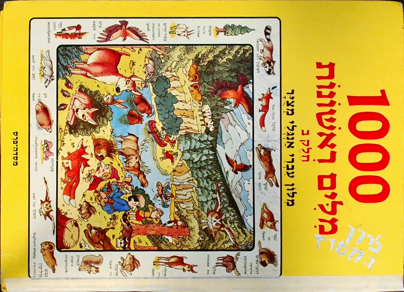 1000 מילים ראשונות חלק ב - מילון עברי אנגלי מצוייר