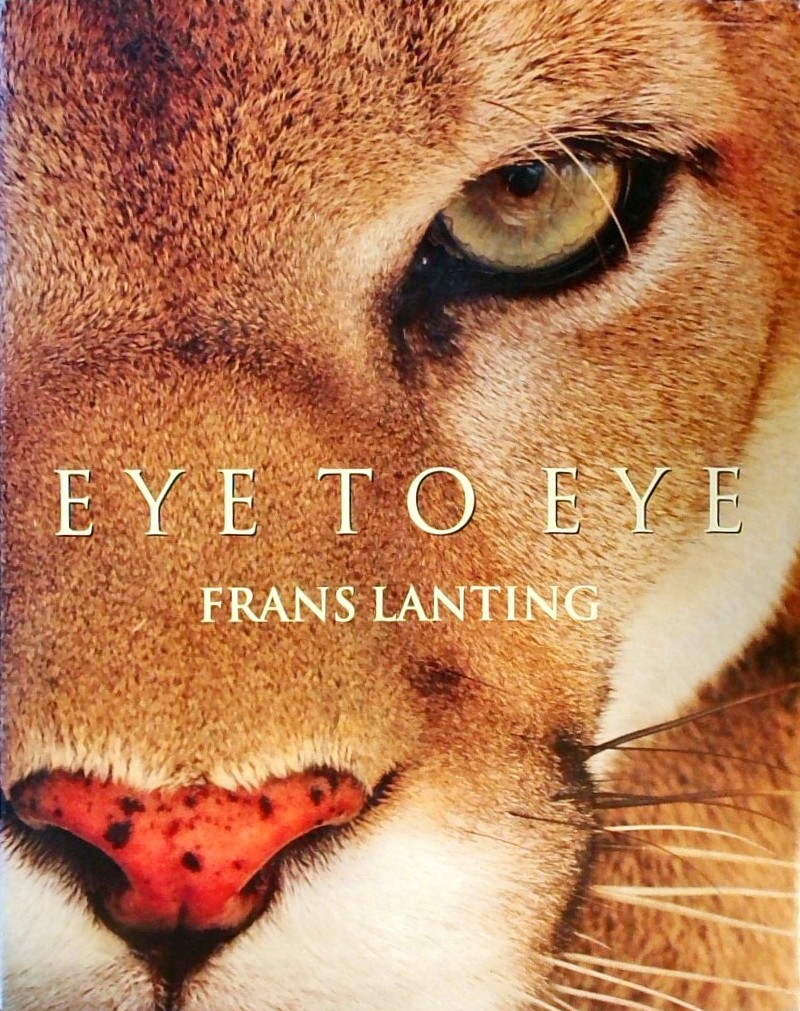 EYE TO EYE