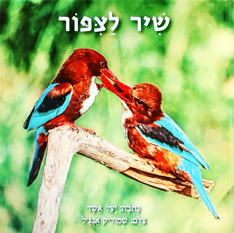 שיר לציפור