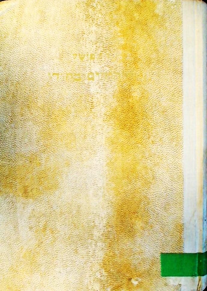 היהודים בהודו-חלקם בחיים הכלכליים והמדיניים