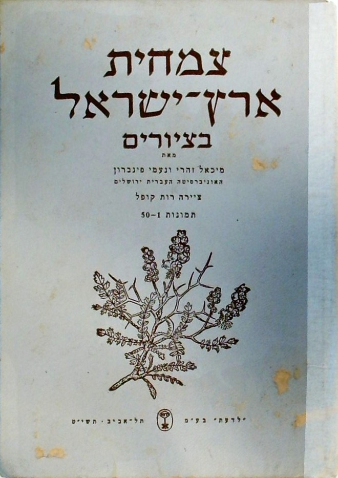 צמחית ארץ ישראל בציורים