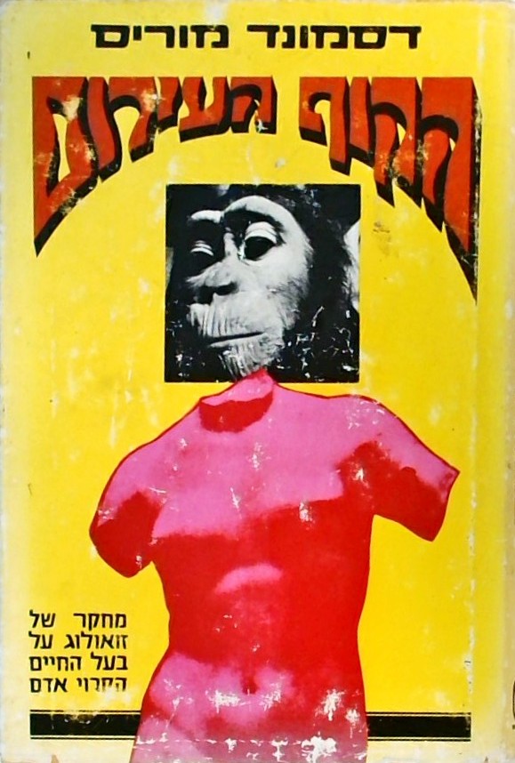 הקוף העירום