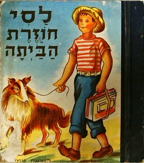 לסי חוזרת הביתה