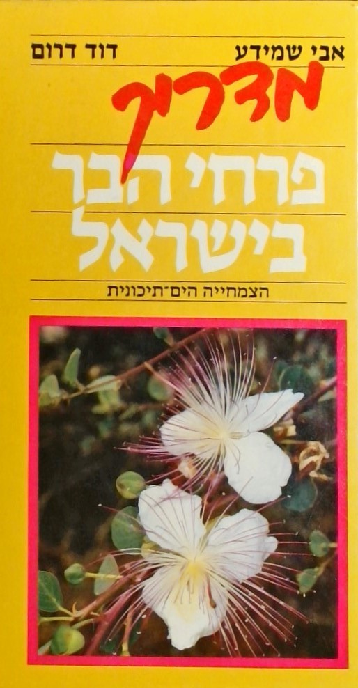 מדריך פרחי הבר בישראל - הצמחייה הים-תיכונית