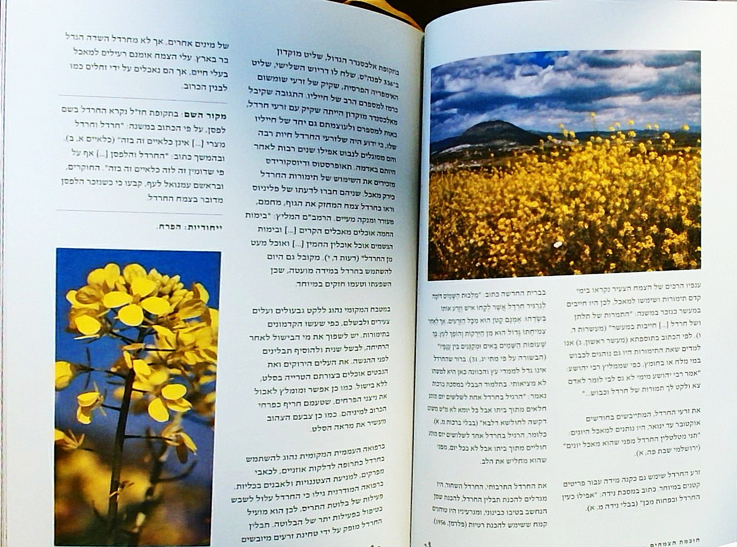 חוכמת הצמחים