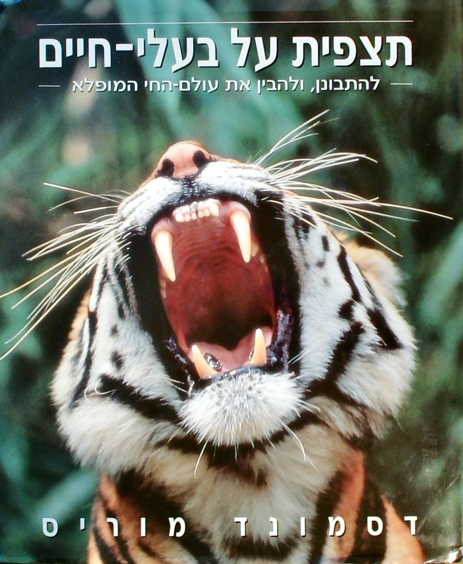 תצפית על בעלי-חיים: להתבונן ולהבין את עולם החי המו