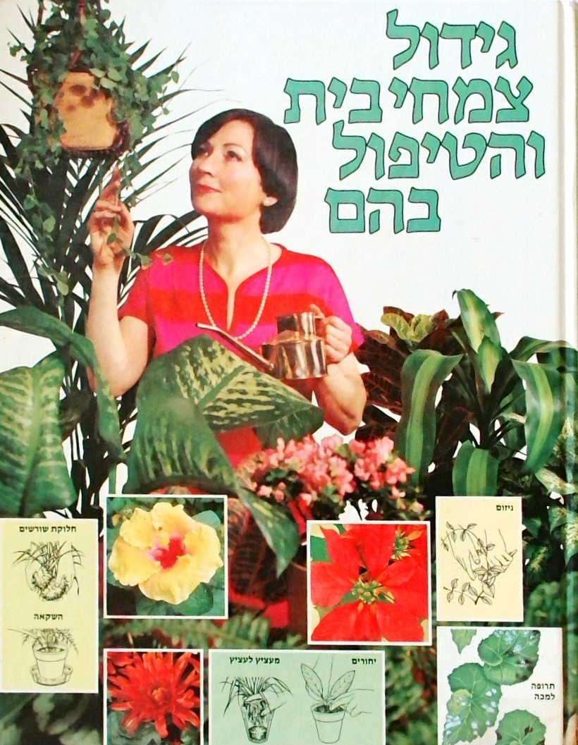גידול צמחי בית והטיפול בהם