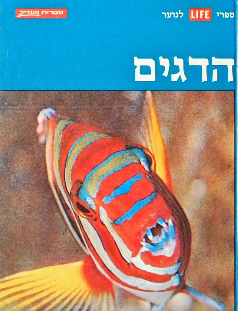 הדגים-ספרי לייף לנוער