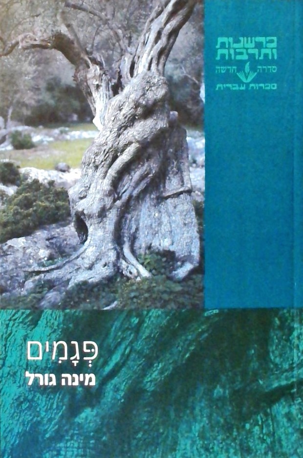 פגמים