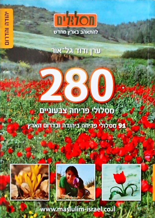 280 מסלולי פריחה צבעוניים-יהודה והדרום