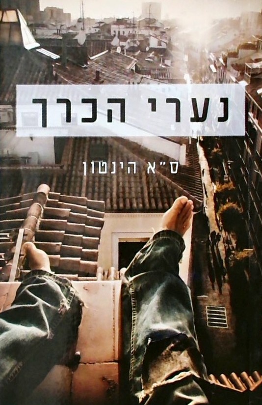 נערי הכרך / ס"א הינטון