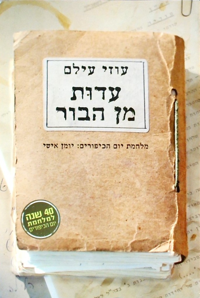 עדות מן הבור-מלחמת יום הכיפורים:יומן אישי