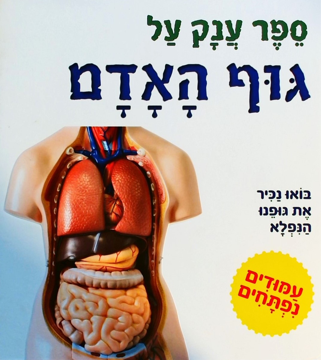 ספר ענק על גוף האדם (עמודים נפתחים)