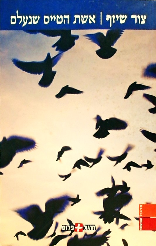 אשת הטייס שנעלם