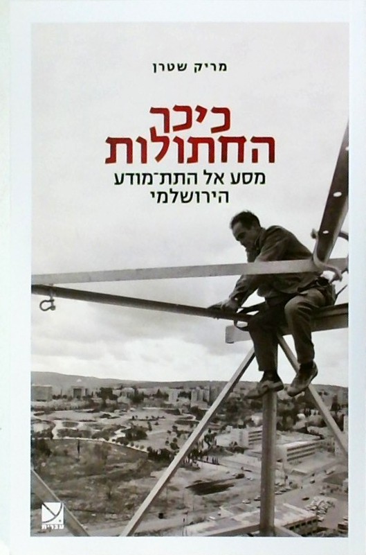 כיכר החתולות