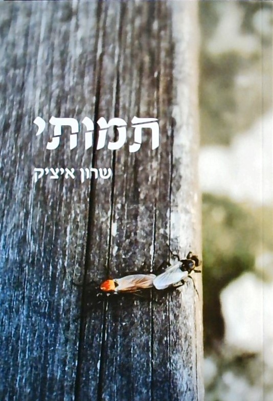 תמותי