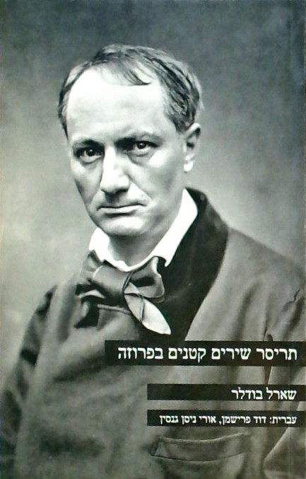 תריסר שירים קטנים בפרוזה