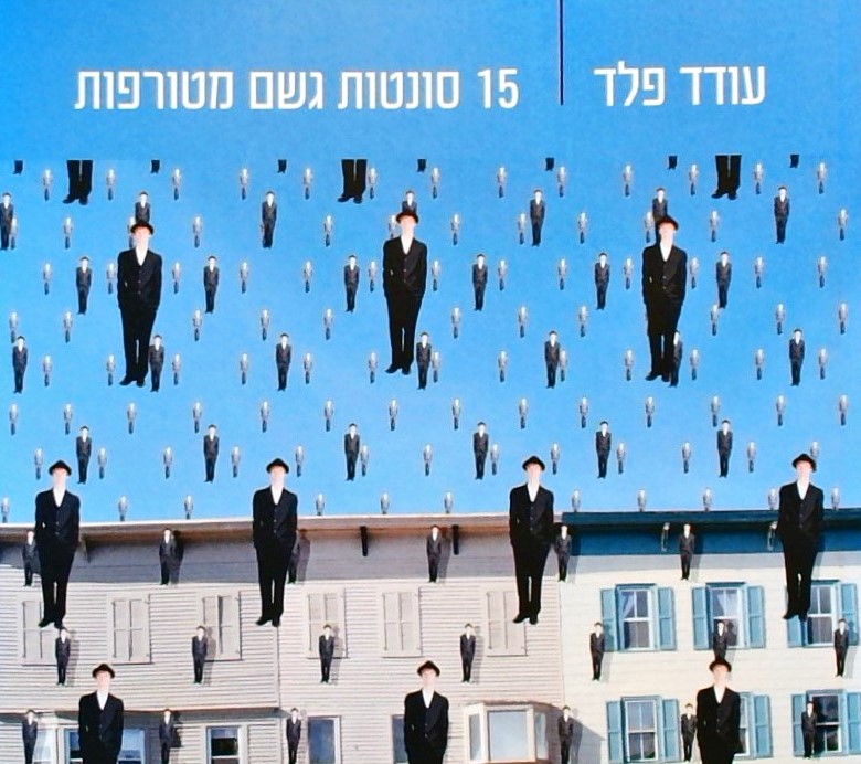 15 סונטות גשם מטורפות (ספרון)