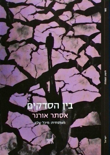 בין הסדקים (ספרון כיס)
