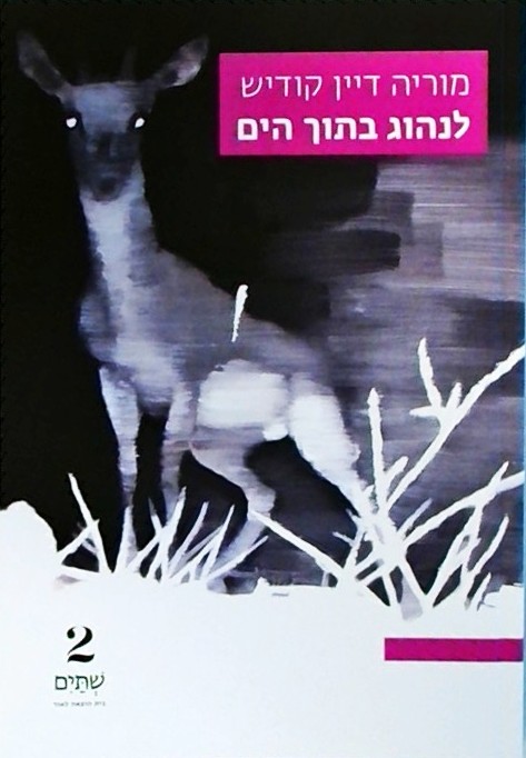 לנהוג בתוך הים