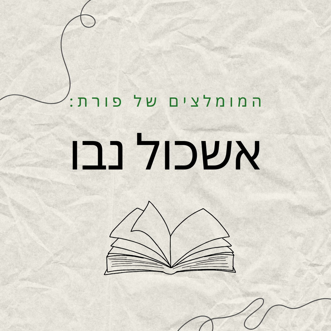 ספרים מומלצים של אשכול נבו