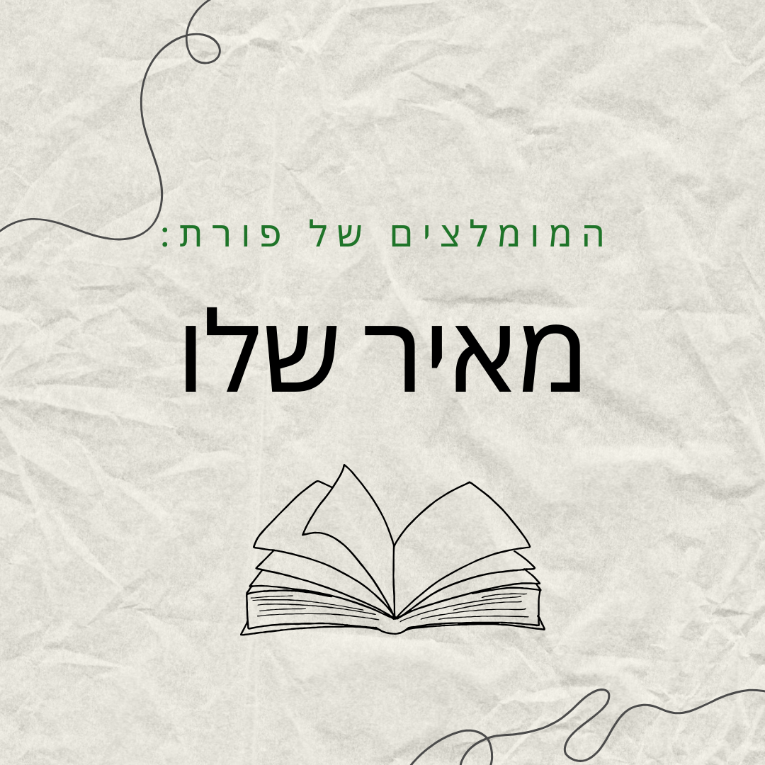הספרים המומלצים של מאיר שלו