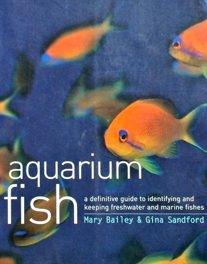 AQUARIUM FISH - A DEFINITVE GUIDE TO IDENTIFYING A