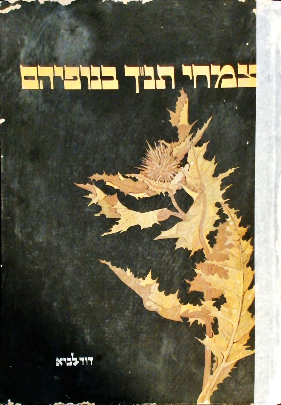 צמחי תנ"ך בנופיהם