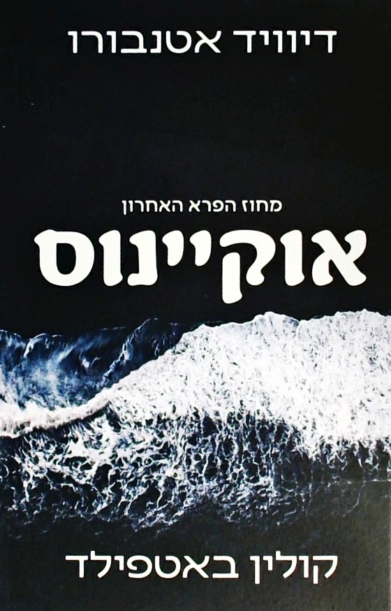 אוקיינוס